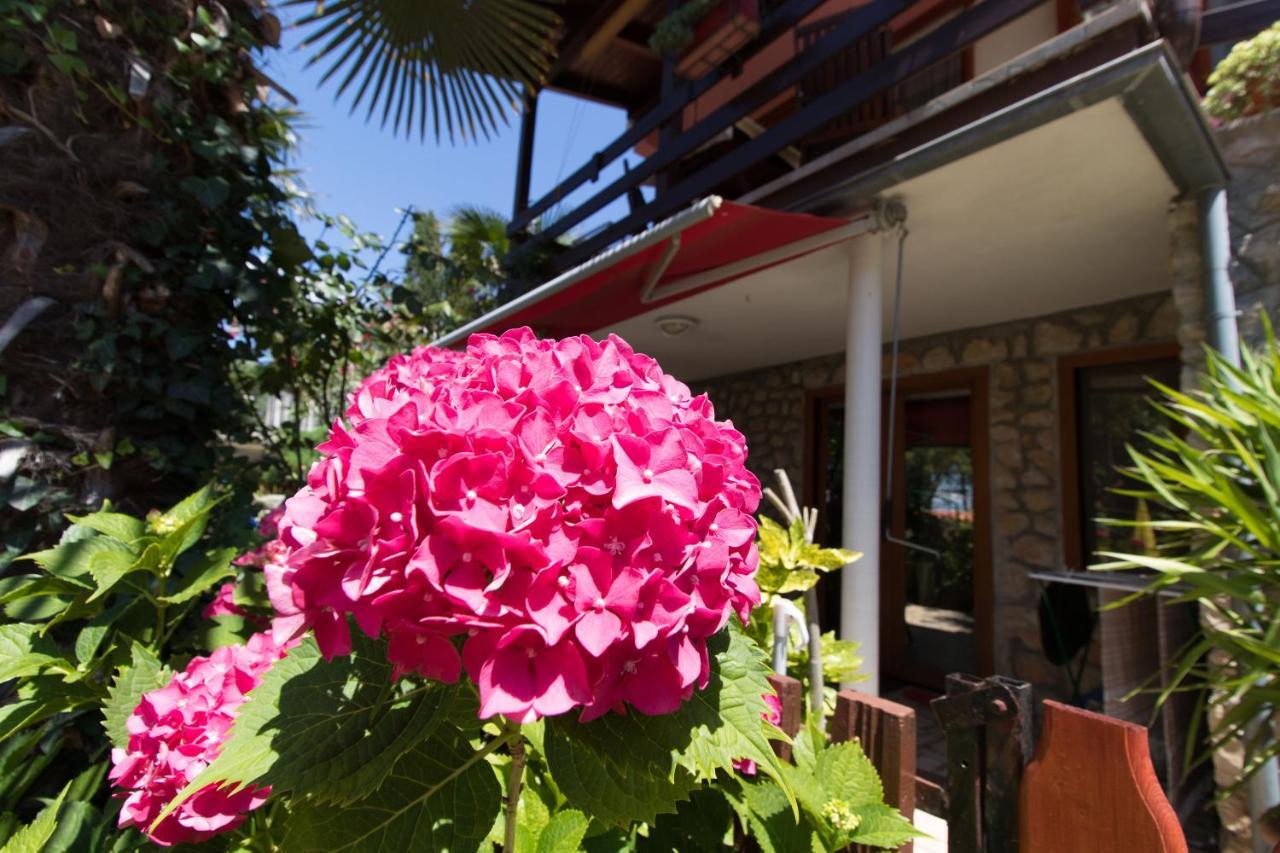 קרס Apartment Paulina מראה חיצוני תמונה